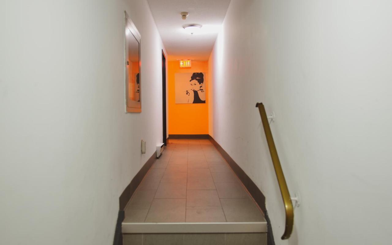 Hostel Kensington College Backpackers Toronto Exteriér fotografie
